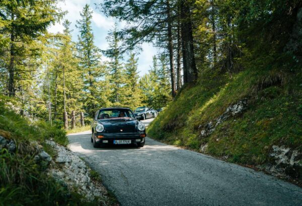 Porsche 911 im Wald
