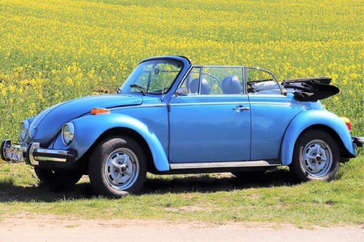 VW Käfer mieten in Flensburg